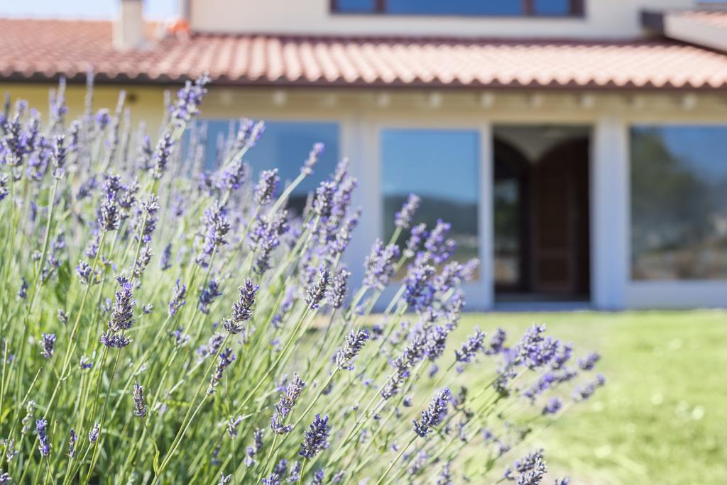 Agriturismo Terre Di Castiglione 카스틸리오네 델라 페스카이아 외부 사진