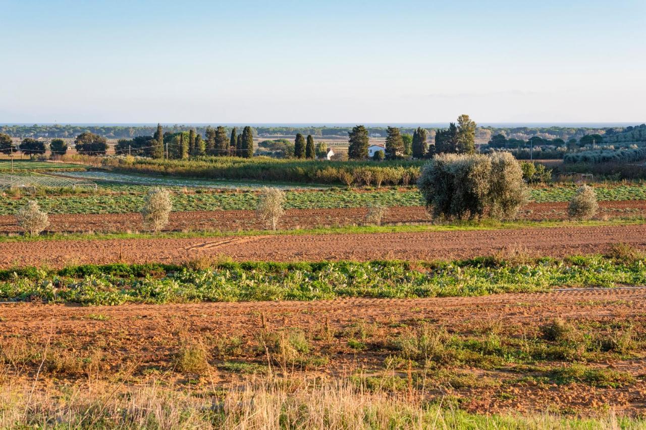 카스틸리오네 델라 페스카이아 Agriturismo Terre Di Castiglione 빌라 외부 사진