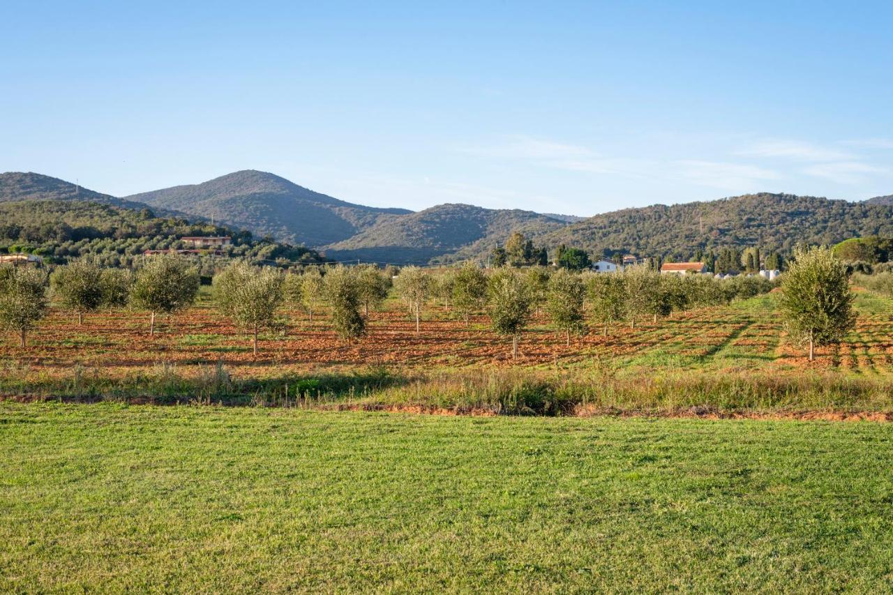Agriturismo Terre Di Castiglione 카스틸리오네 델라 페스카이아 외부 사진