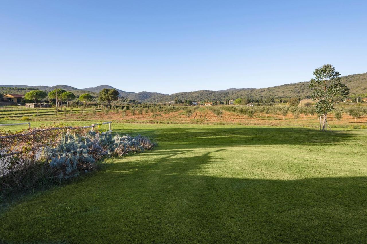 Agriturismo Terre Di Castiglione 카스틸리오네 델라 페스카이아 외부 사진