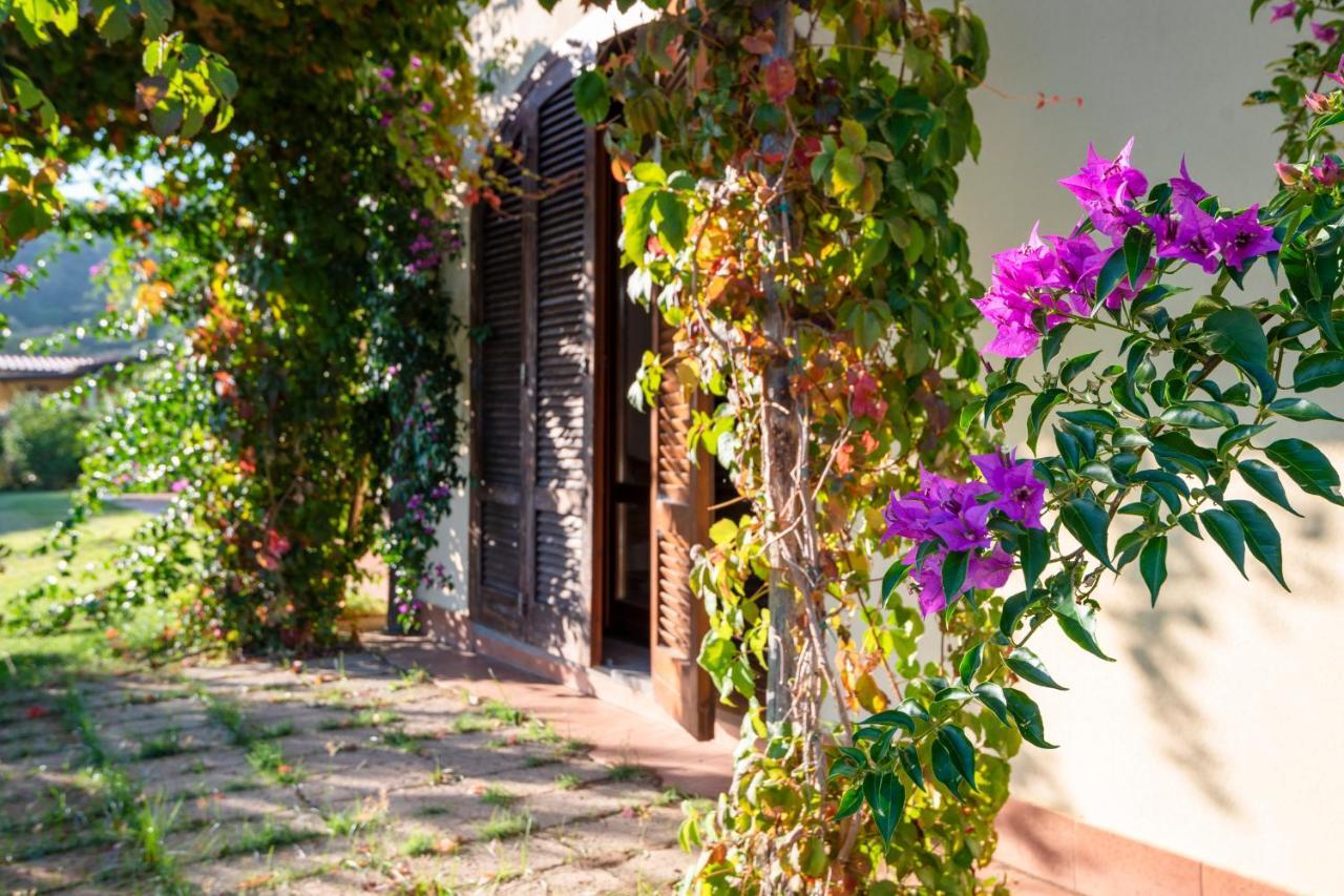 Agriturismo Terre Di Castiglione 카스틸리오네 델라 페스카이아 외부 사진
