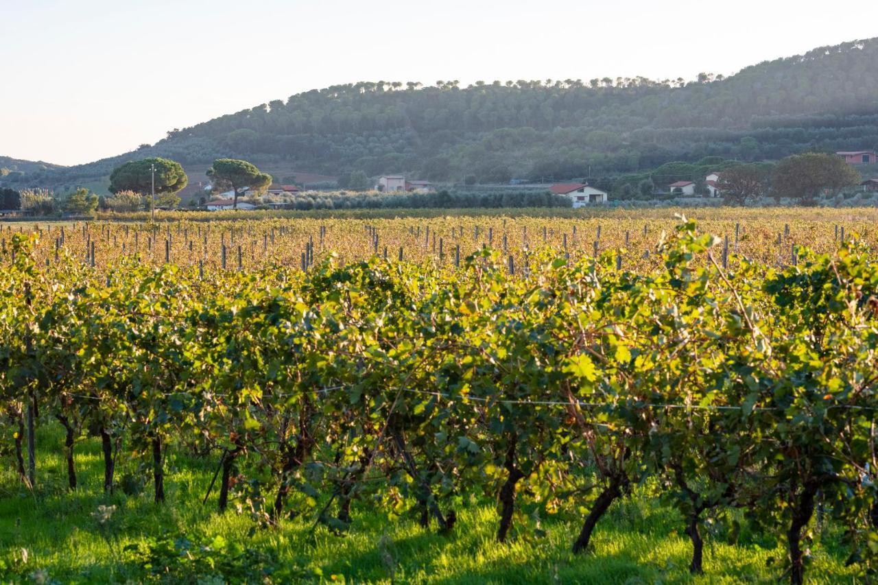 Agriturismo Terre Di Castiglione 카스틸리오네 델라 페스카이아 외부 사진