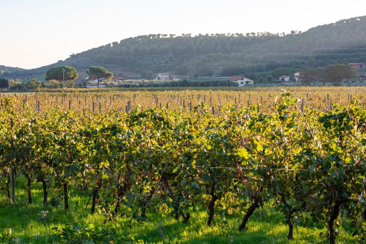 카스틸리오네 델라 페스카이아 Agriturismo Terre Di Castiglione 빌라 외부 사진