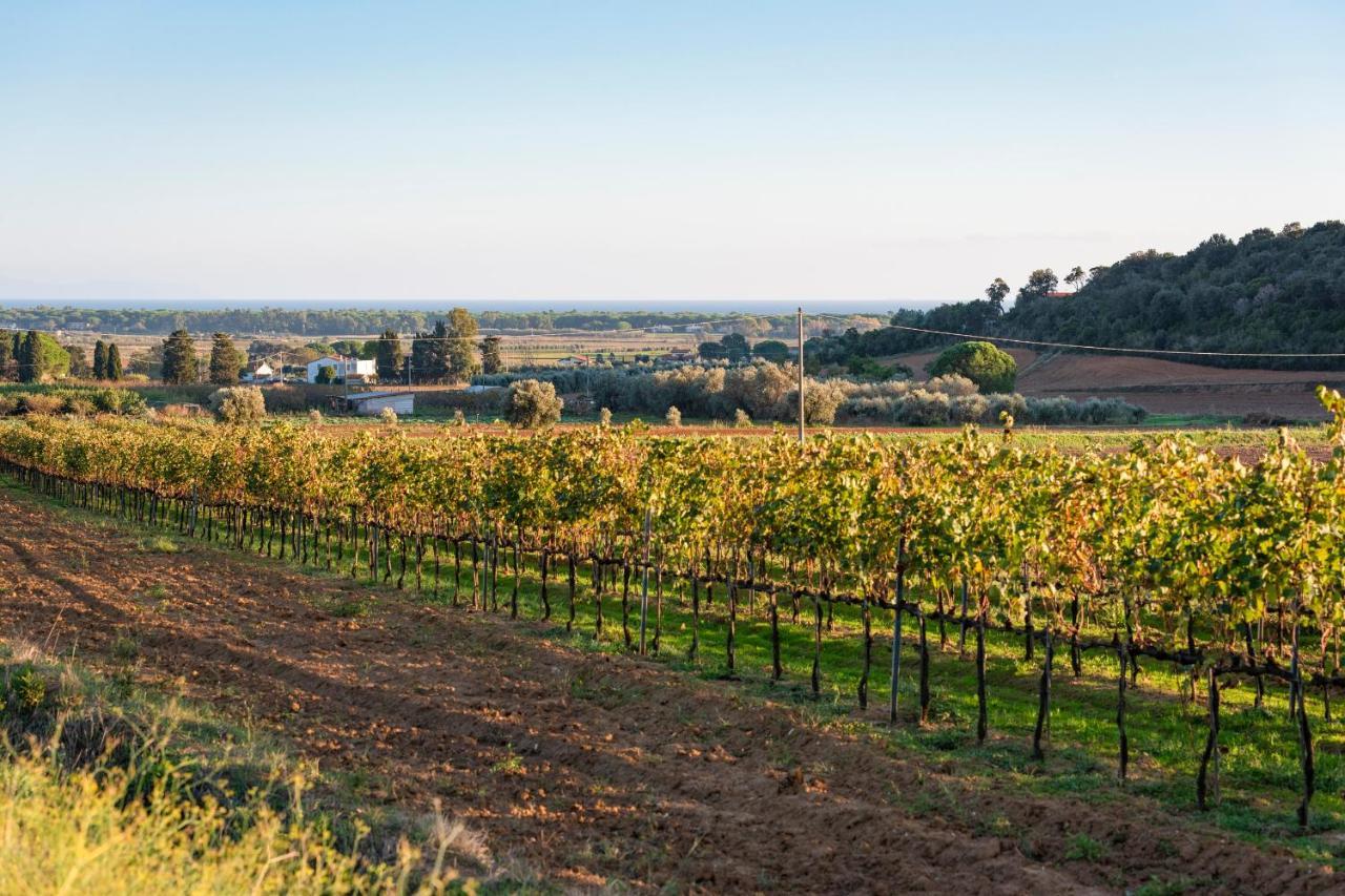 Agriturismo Terre Di Castiglione 카스틸리오네 델라 페스카이아 외부 사진