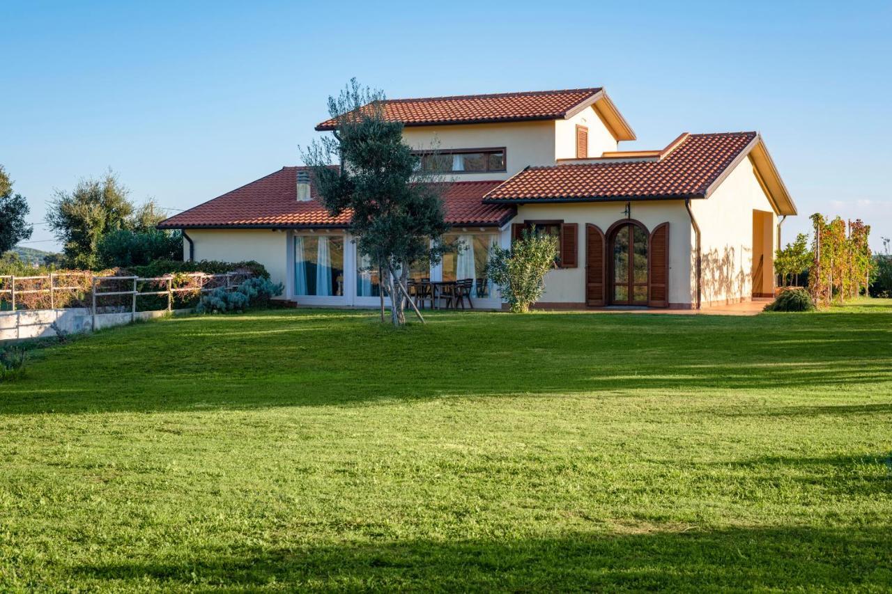 Agriturismo Terre Di Castiglione 카스틸리오네 델라 페스카이아 외부 사진