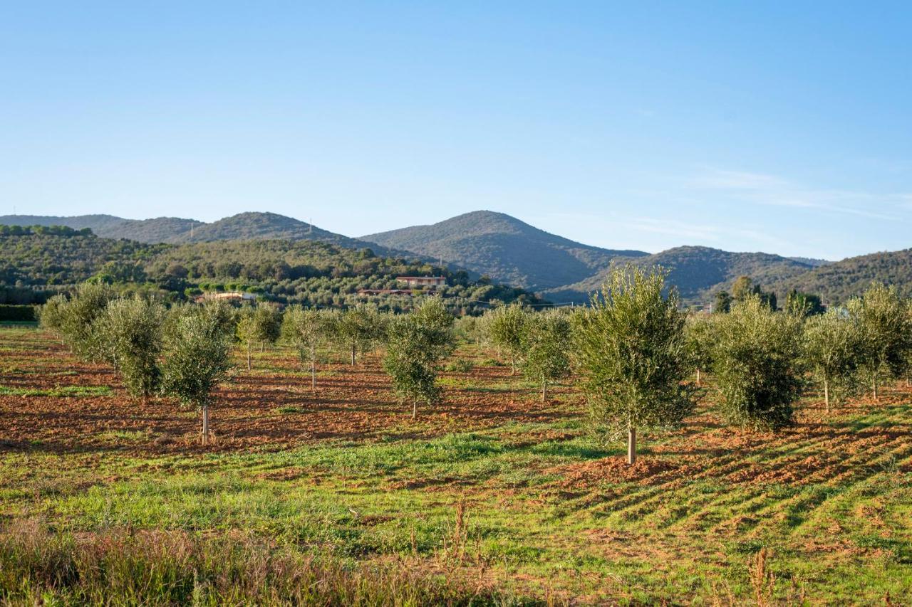 Agriturismo Terre Di Castiglione 카스틸리오네 델라 페스카이아 외부 사진