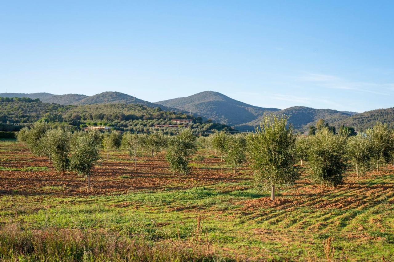 카스틸리오네 델라 페스카이아 Agriturismo Terre Di Castiglione 빌라 외부 사진