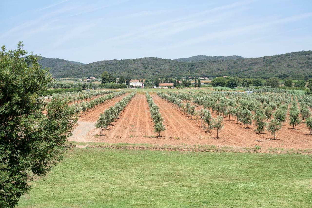 Agriturismo Terre Di Castiglione 카스틸리오네 델라 페스카이아 외부 사진